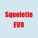 Squelette EVO Squelette en métal